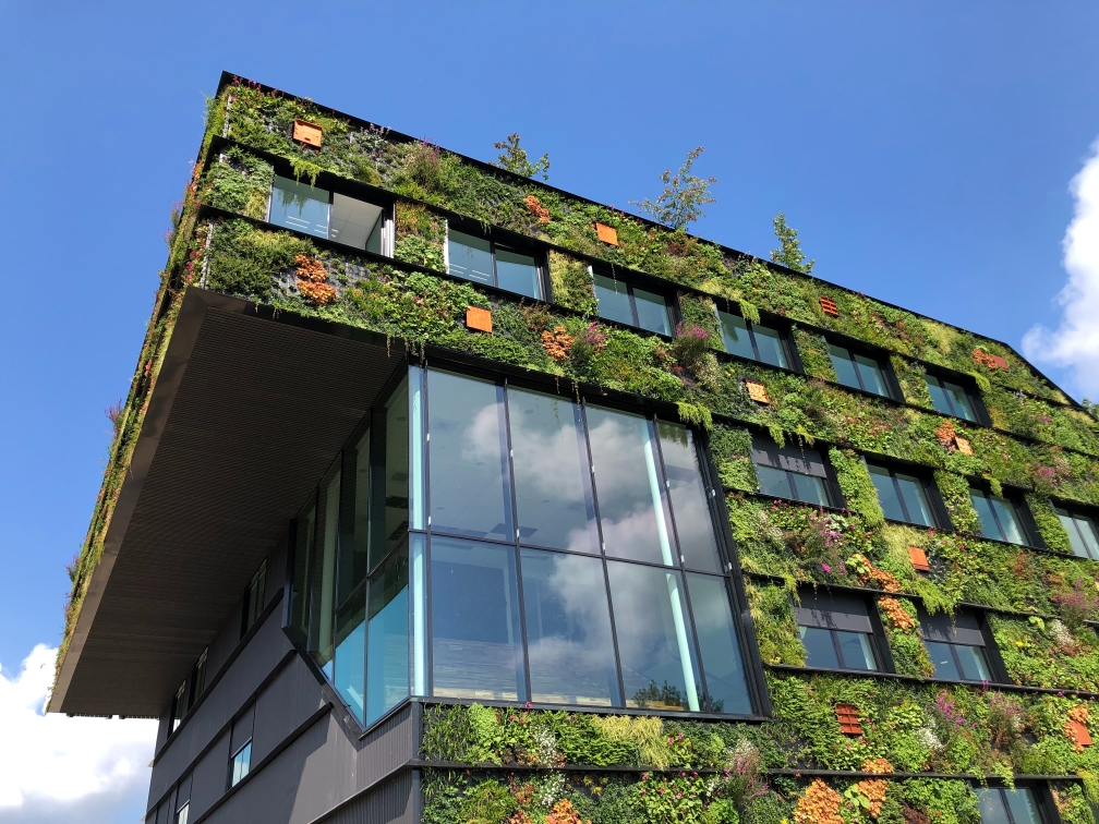 Arquitectura sustentable